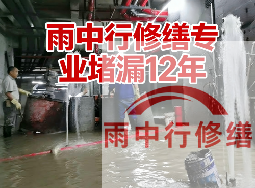 淮南中国五矿某大型污水处理厂堵漏案例